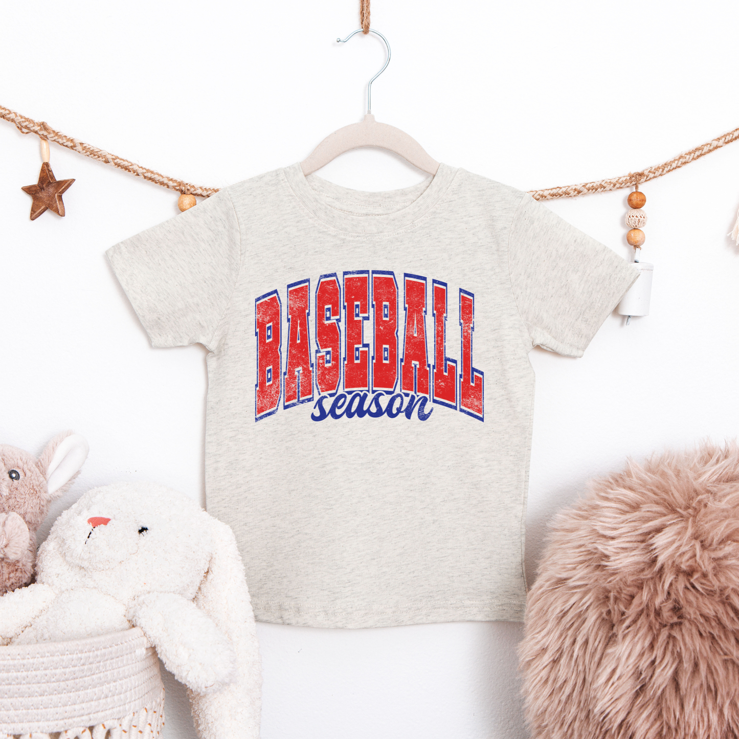 Baseball Season Youth